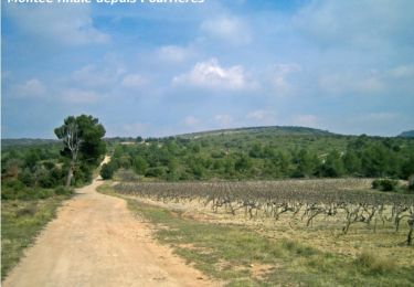 Percorso Mountainbike Pourrières - Pourrières - Sainte Victoire - Photo