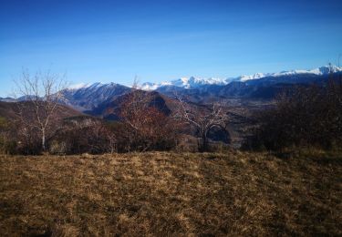 Trail Walking Digne-les-Bains - la Bigue du Ciron - Photo