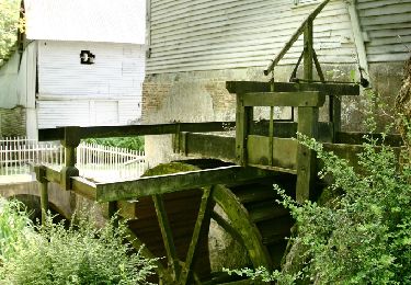 Tocht Stappen Maisnières - Le moulin de Visse - Photo