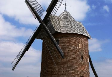 Tocht Stappen Frucourt - Le moulin de Frucourt - Photo