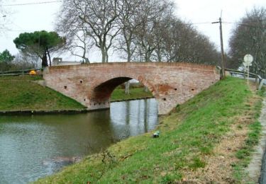 Percorso Marcia Donneville - Canal du Midi - Donneville - Ecluse du sanglier - Photo