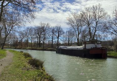 Percorso Marcia Gardouch - Canal du Midi - Ecluse de Laval - En Cassan - Photo