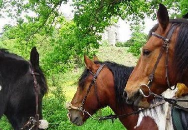 Tocht Paard Lanvallay - Dinan - Mont Saint Michel 1 - Photo