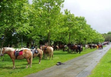 Tour Pferd Maen-Roch - Saint Brice en Coglès - Forêt de Fougères - Equibreizh - Photo