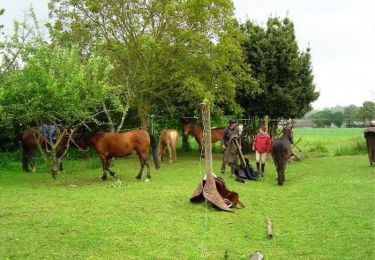 Trail Equestrian Mézières-sur-Couesnon - Mézières sur Couesnon à Ville Morin - Equibreizh - Photo