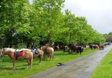 Trail Equestrian Iffendic - Témelin - Paimpont - Equibreizh - Photo