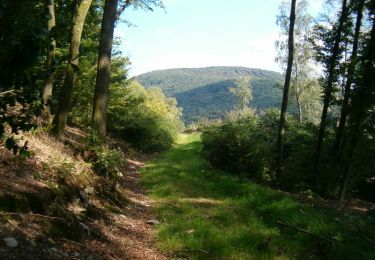 Tour Wandern Haybes - Les chemins des Ardoisières - Photo