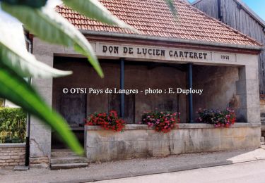 Randonnée Marche Saint-Loup-sur-Aujon - Le Signal de Saint - Loup  sur Aujon - Photo
