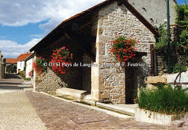 Tour Wandern Orcevaux - Les Coteaux du plateau de Langres - Photo