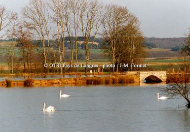 Trail Walking Leffonds - Les Templiers - Leffonds - Bugnières  - Photo