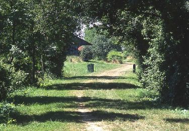 Trail Walking Guise - Axe vert de Thiérache 1 - Photo