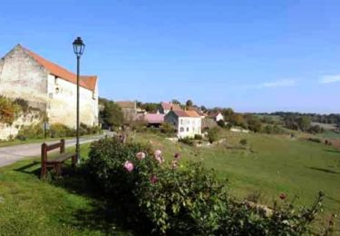 Tour Wandern Tannières - Par Horle et Larris - Photo