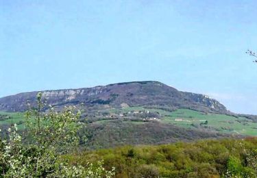 Randonnée Marche Pagnoz - Colline et ruines du château de Vaulgrenant - Photo