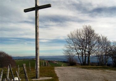 Tour Wandern Arc-sous-Cicon - Le Crêt Monniot (1141 m) depuis Les Cordiers - Photo