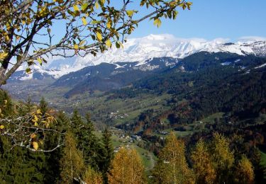 Tour Wandern Saint-Nicolas-la-Chapelle - Balade dans le Val d'Arly - De Chaucisse à Nanchard - Photo