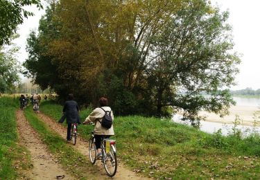 Trail Walking Gennes-Val-de-Loire - Perspectives de Loire - Cunault - Photo