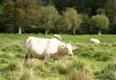 Tour Wandern Étinehem-Méricourt - Les marais des vaches - Photo
