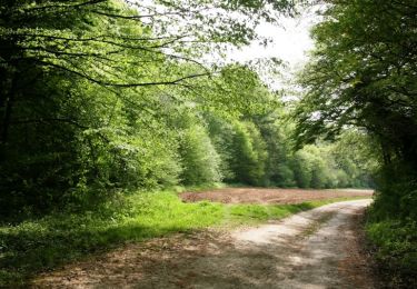 Trail Walking Dury - La belle épine (variante courte) - Photo