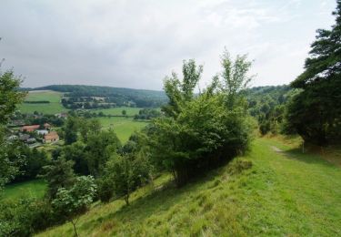 Randonnée Marche Fossemanant - Le Bois du Quesnoy - Photo
