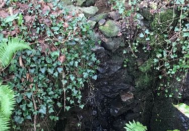 Tour Wandern Hédé-Bazouges - 27.12.2018 - BAZOUGES SS HEDE - Photo