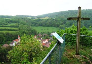 Randonnée Marche Rougemont - La Croix de Rognon - Doubs - Photo