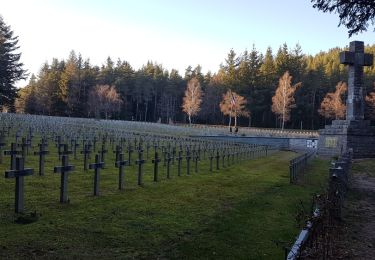 Tocht Stappen Orbey - col du Wettstein et Mémorial du Linge  - Photo