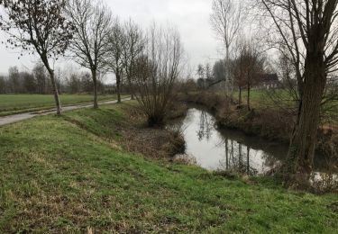 Tour Wandern Oudenaarde - Welden 21 km - Photo