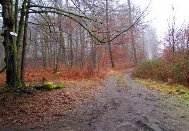 Tour Wandern Longpont - en forêt de Retz_73_ballade (5) en toute saison - Photo
