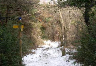 Randonnée Marche Grane - Boucle pédestre n°42 - Bois de la Dame - La Pierre Sanglante - Photo