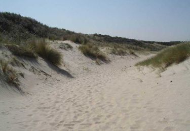 Trail Walking Bray-Dunes - Circuit de la dune du Perroquet - Photo