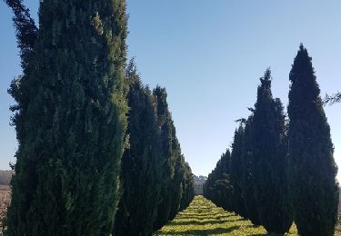 Excursión Senderismo Cabrières-d'Aigues - Cabrières d'Aigues lac de la Bonde - Photo