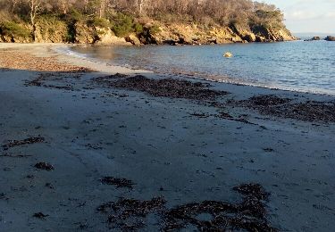 Excursión Senderismo Bormes-les-Mimosas - Cabasson, Tour du cap Bénat - Photo