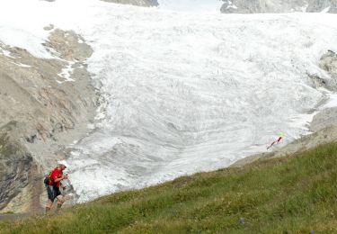 Randonnée Course à pied Chamonix-Mont-Blanc - The North Face© Ultra Trail du Mont-Blanc© UTMB 2008 - Photo