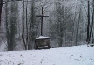 Tour Wandern Ustou - Le Tuc de Gaspard - Photo