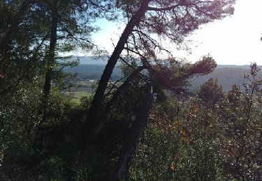 Trail Walking Figanières - les chemins de figanieres et callas - Photo