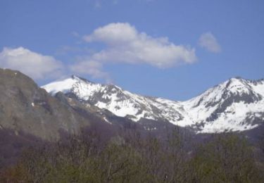 Excursión Senderismo Aulus-les-Bains - Le Mont Ceint ou Pic de Girantes - Photo