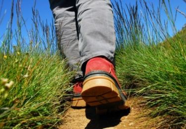 Tour Wandern Le Monastier-sur-Gazeille - Chemin de Stevenson - Le Monastier vers Le Bouchet - Photo