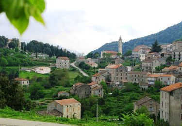 Tour Wandern Porto-Vecchio - Mare a Mare Sud - De Cartalavonu à Levie - Photo
