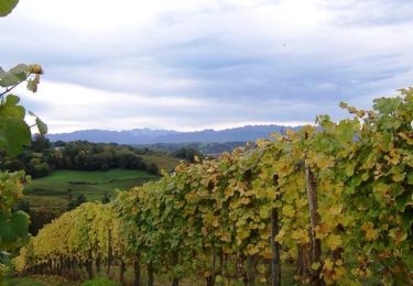 Randonnée Marche Laroin - Les vignes en terrasses des collines de Jurançon - Photo