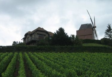 Tocht Stappen Reims - Chemin de Compostelle, Voie de Vézelay GR654® De Reims à Verzy - Photo