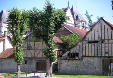 Tour Wandern Bar-sur-Seine - Chemin de Compostelle, Voie de Vézelay GR654® De Bar sur Seine à Avirey Lingey - Photo