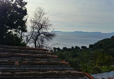 Trail Walking Rayol-Canadel-sur-Mer - rayol pointe des dattiers - Photo