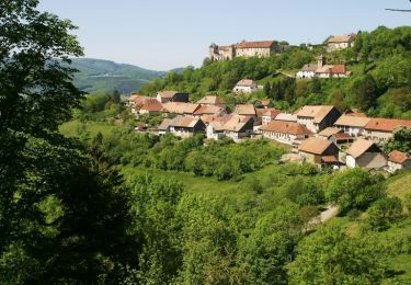 Tocht Fiets Saint-Hippolyte - Le Château de Belvoir - Doubs - Photo