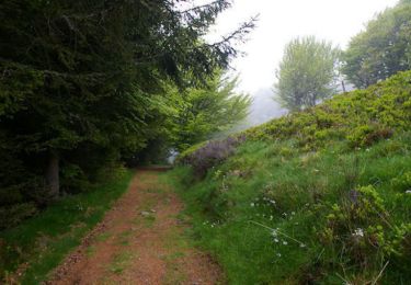 Trail Walking Le Bosc - Le Cap du Carmil depuis le Col des Marrous - Photo