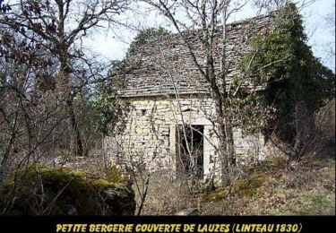 Excursión Senderismo Martiel - Boucle des dolmens de Martiel - Photo