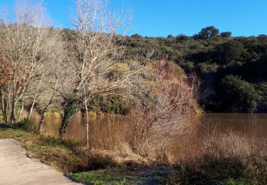 Trail Walking Fréjus - Tour du lac de l'Avellan par Marre Trache - Photo