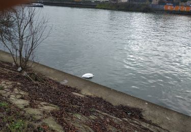 Tocht Stappen Morsang-sur-Seine - morsang corbeil bords de Seine - Photo