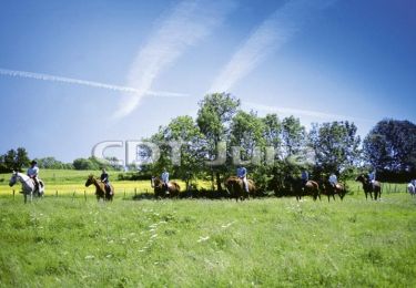 Tour Pferd Valzin-en-Petite-Montagne - Montadroit - Boissia - Photo