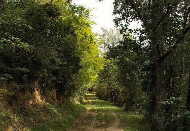 Trail Walking Lacroix-Falgarde - Lacroix Falgarde - Goyrans - Photo