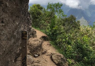 Tour Wandern La Possession - vert bouteille - Photo